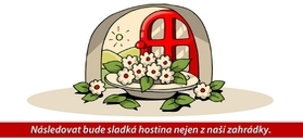 obrázek pozvánky ke stolu pro svatební oznámení berušky
