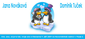 obrázek svatebního oznámení tučňáci
